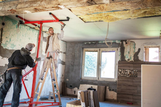 Best Insulation Installation Services in Rehobeth, AL