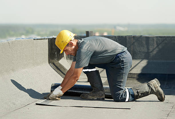 Best Insulation Maintenance and Repair in Rehobeth, AL